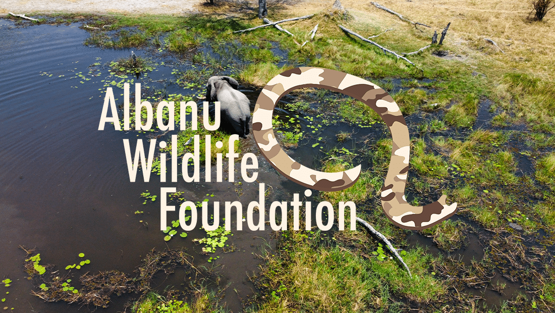 Albanu Wildlife Foundation / Engagement