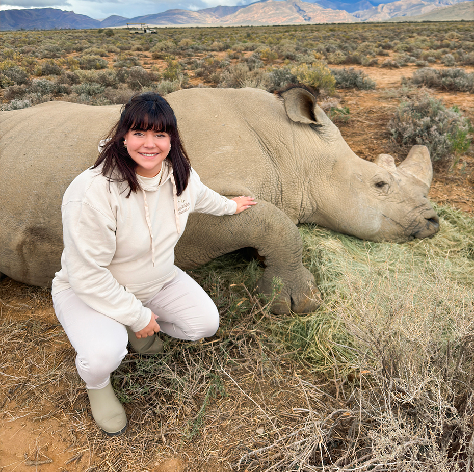 Donation Albanu Wlidlife Foundation – Image 5