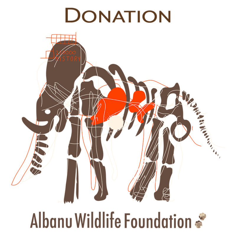 Donation Albanu Wlidlife Foundation